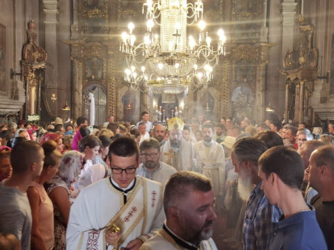 IMG_20230828_105224_resize