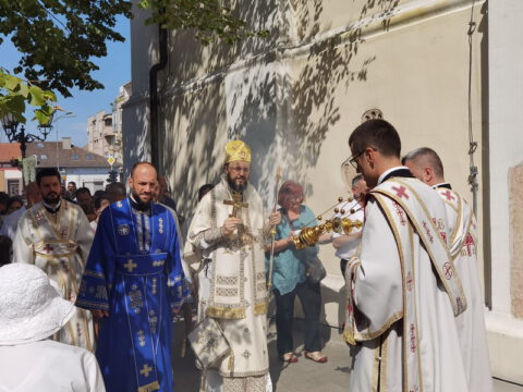 IMG_20230828_105322_resize