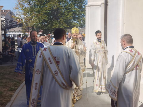 IMG_20230828_105350_resize