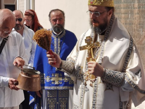 IMG_20230828_105714_resize