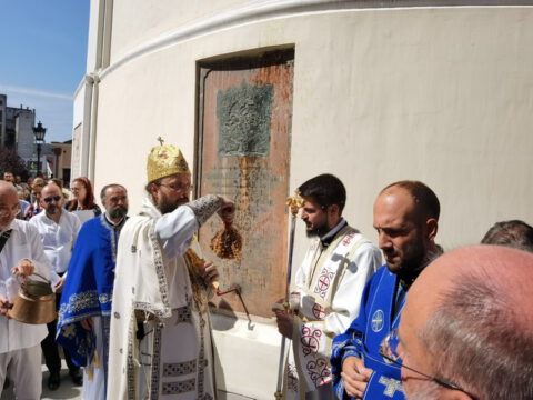 IMG_20230828_105731_resize