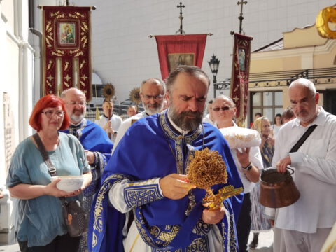 IMG_20230828_110419_resize