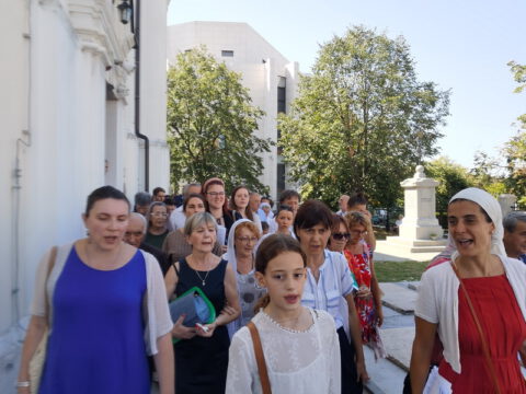 IMG_20230828_110618_resize