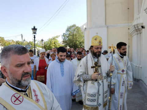 IMG_20230828_111356_resize