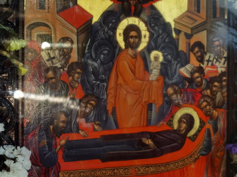 IMG_20230828_113559_resize