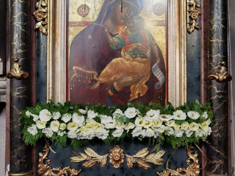 IMG_20230828_113646_resize