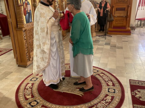 image_67197185_resize