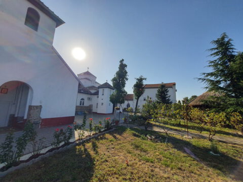 20230909_085004_resize