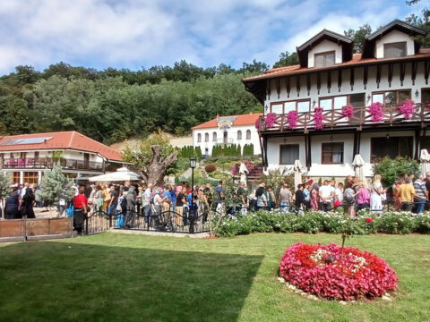 20230916_114142_resize