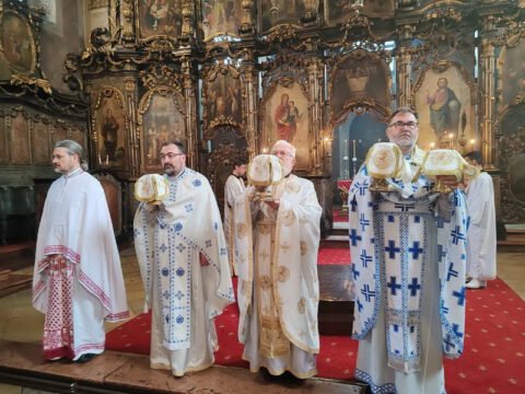 20230917_171253_resize