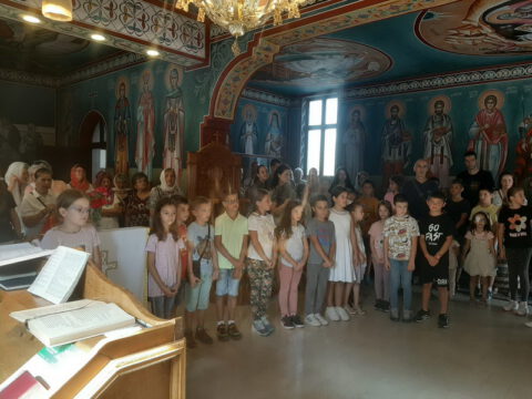 IMG-054c444221183a7f797168b0c8caee6b-V_resize