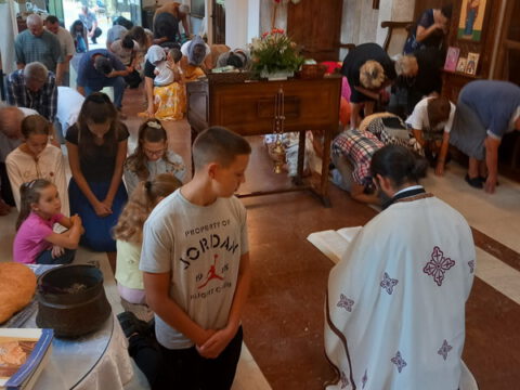 IMG-064c510f8acf6e99ea5dc4487496920e-V_resize