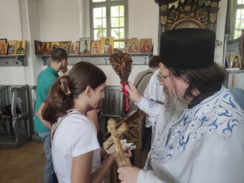 IMG-087cbcee29f0ba66307d42ad1ffcf10b-V_resize