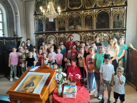 IMG-1e8833c23a92a1a2c94db69de9b0d125-V_resize