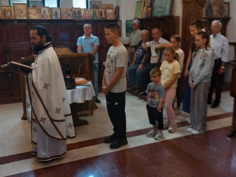 IMG-274e353b430655ad9ec9fedc53cfeb7e-V_resize