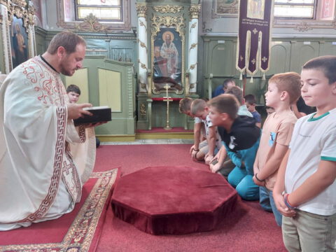 IMG-29111ed5f63c874f06ede5a568f684ce-V_resize