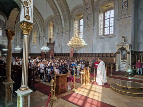 IMG-2d3edc0ecca33a80364252b706d766bc-V_resize