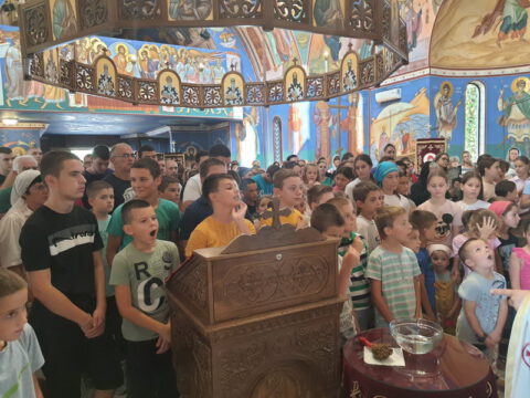 IMG-4b3e1ee7a12b5f1eef8d09a8a7d2f933-V_resize