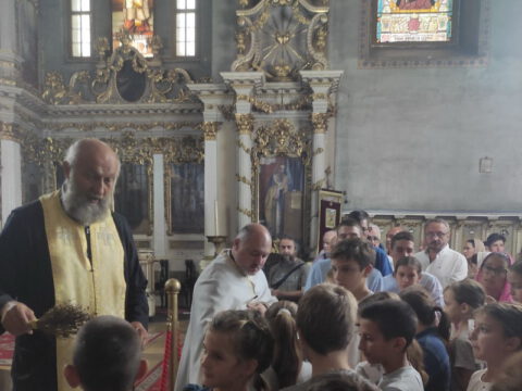 IMG-525347ac4039bc43d2ae3e119c75c2a5-V_edit_749384832463776_resize