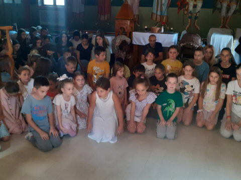 IMG-57018ed2c7fed52188b4373a64ffdf4e-V_resize