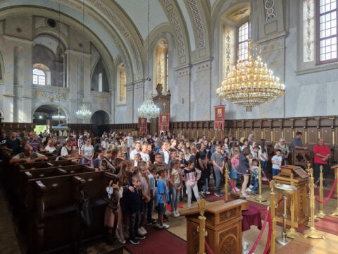 IMG-6203e40af879575ffd8f08b8dfe0e8f3-V_resize