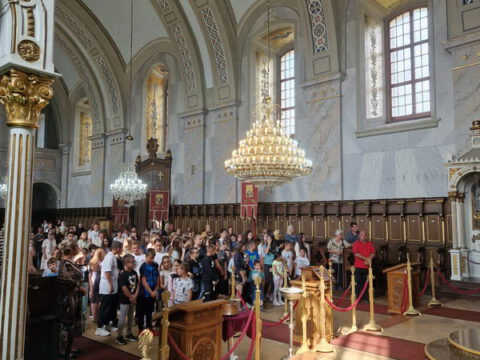 IMG-68ad4d523567deb192faedd7e101b6b7-V_resize