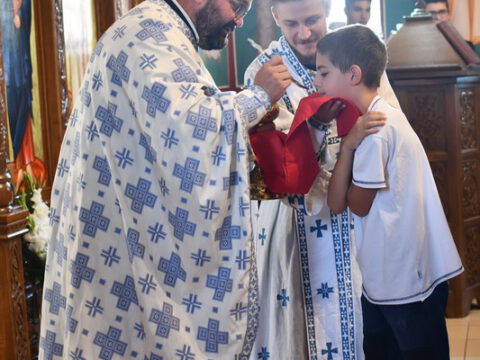 IMG-69556e02994f5db5c0179f9fd6caf46b-V_resize