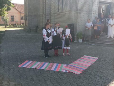 IMG-78205ad6e3938c3eee67e2dcbc67b768-V_resize