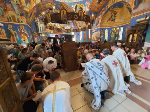 IMG-798d7955a792395a5f40ae91af329a56-V_resize