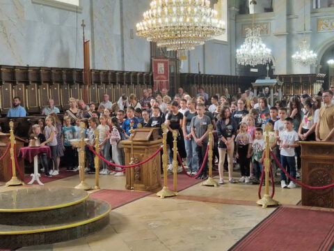 IMG-7c4a1df9851f734c467ee5a91863c864-V_resize