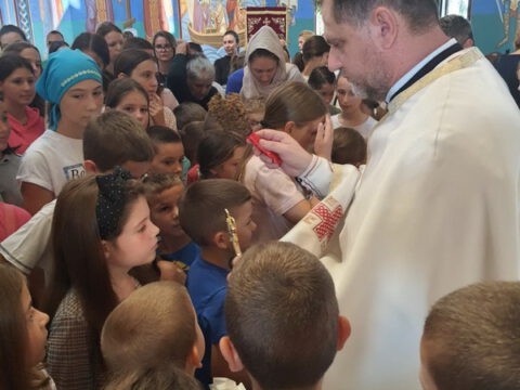 IMG-840aae65f82509ebda9fe8fc22d43e8b-V_resize