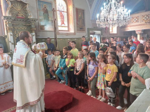 IMG-8813d0147a6fbb4409d11598061ff5cc-V_resize