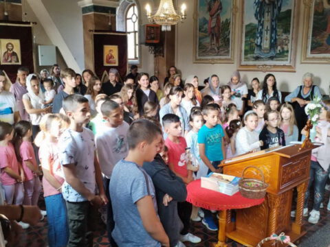 IMG-98cfb66d4c3f4d6dd0a9554181097e63-V_resize