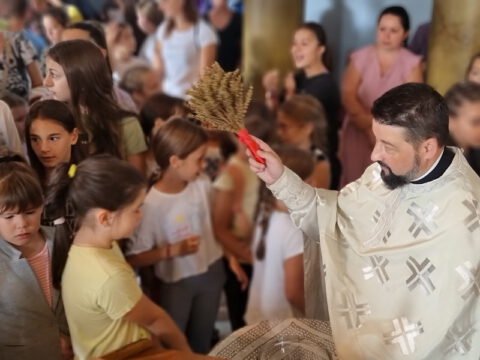 IMG-b148e9be93c25473c8f7e0648eee40f2-V_resize