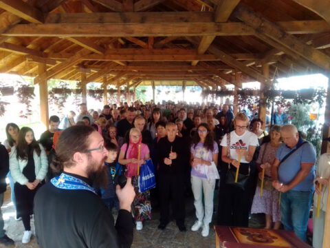 IMG-bd1c26c3ae58418abcb58c92e5d15b1a-V_resize