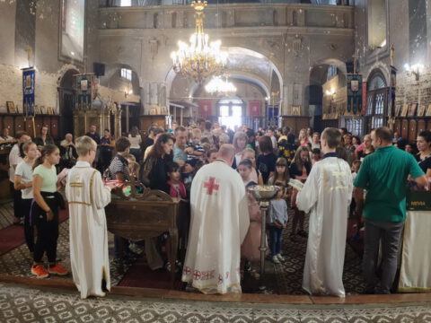 IMG-bf5b89452cf91c26511e15afea5dbe39-V_resize