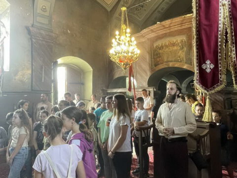 IMG-c29557961b44953bc9e20e802214db3c-V_resize