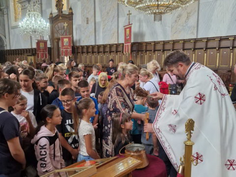 IMG-c93e1093a73a1540fddd41331b91065c-V_resize