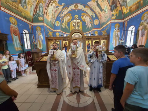 IMG-caef735cc2b0cf25e2f41fa40d501178-V_resize