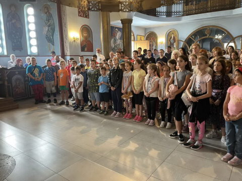 IMG-cfc6bf557856f21dad09599b71382d64-V_resize