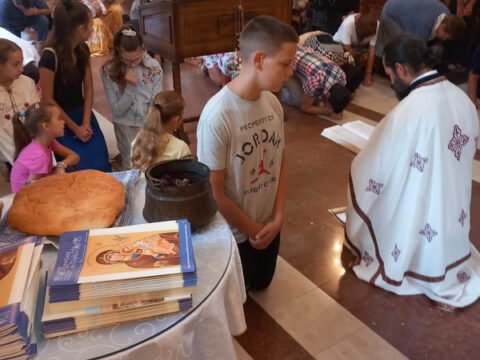 IMG-d5f10b8f08b5b7a315fa68e8c3ae53bd-V_resize