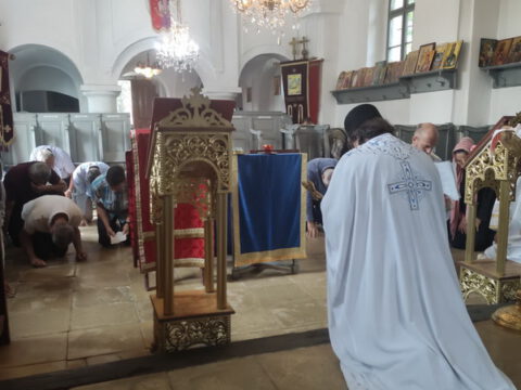 IMG-d88c0dbdc87d6aad1794f58445fd62a8-V_resize