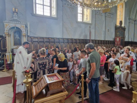 IMG-ebfac3ab6cd314efa9fc8f803ca0c151-V_resize