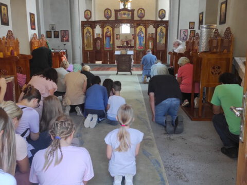 IMG-ff686e93ba65ca8758d54781b5518203-V_resize