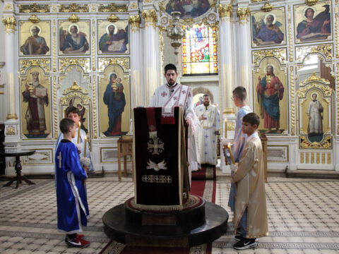 IMG_0481_resize_resize