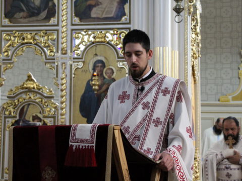 IMG_0482_resize_resize