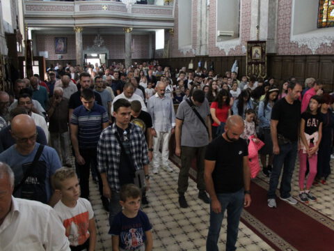 IMG_0485_resize_resize