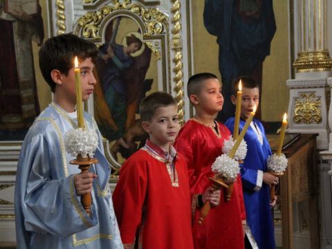 IMG_0491_resize_resize