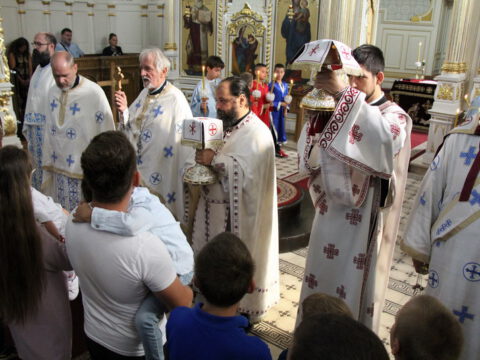 IMG_0498_resize_resize