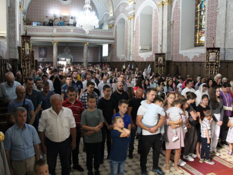 IMG_0502_resize_resize